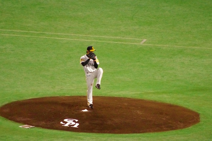 IMGP0060 (1024x680)