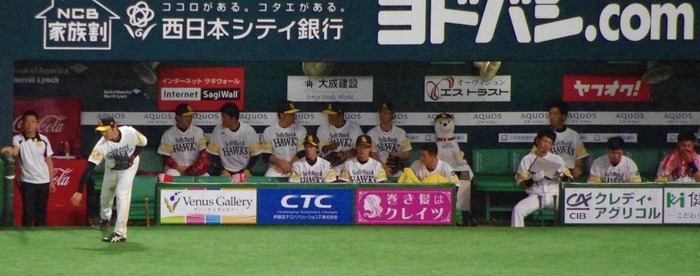 IMGP0111 (1024x404)