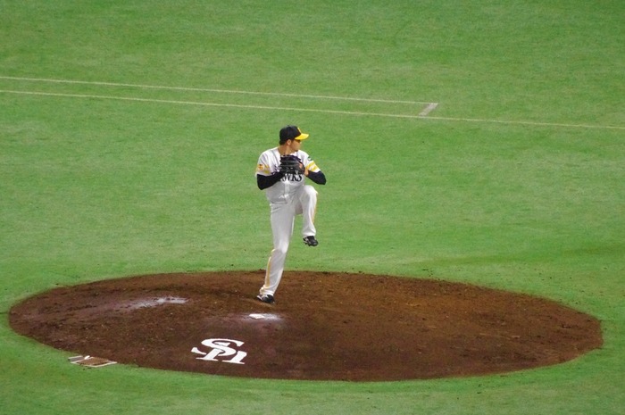 IMGP0331 (1024x680)