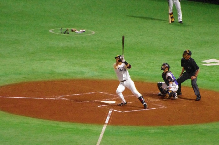 IMGP0155 (1024x680)