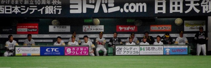 IMGP9952 (1024x331)