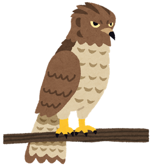 bird_taka