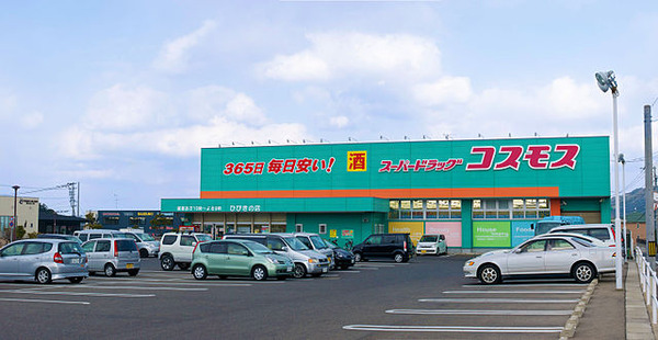 640px-COSMOS_-_Kitakyushu_Hibiki_Store