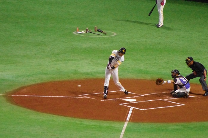 IMGP0098 (1024x680)