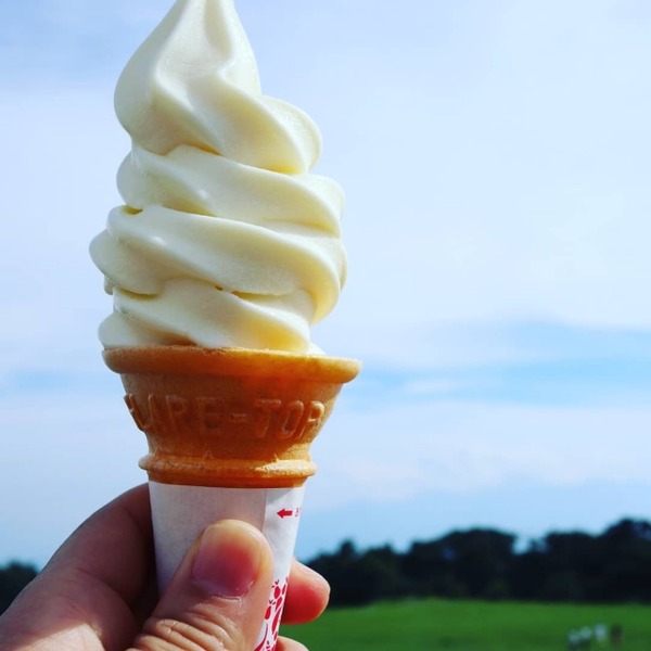 道の駅でうまそうにソフトクリーム食べてるおじさんいるでしょ？