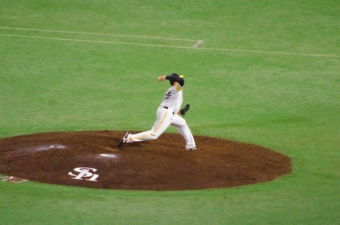 IMGP0333 (1024x680)
