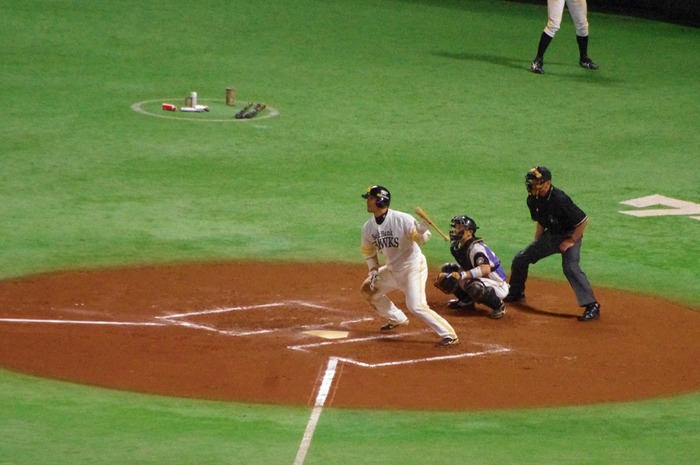 IMGP0325 (1024x680)