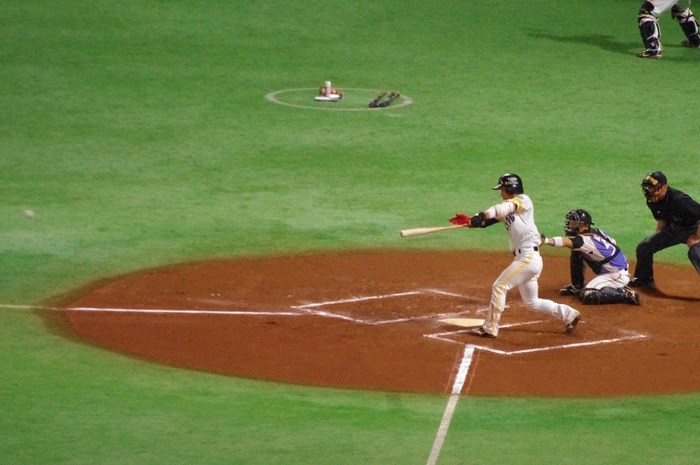 IMGP0320 (1024x680)