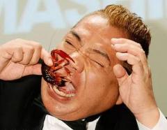 「笑ってはいけない」が大ピンチ! 〝痛みを伴うネタ〟BPO審議入りでお笑い界に激震