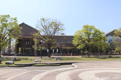 どんどんどんの森