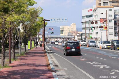 どんどんどんの森