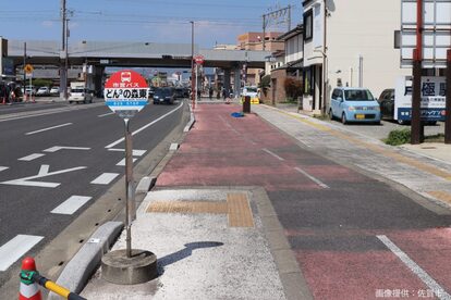 どんどんどんの森