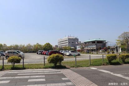 どんどんどんの森