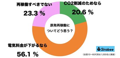 原発再稼働