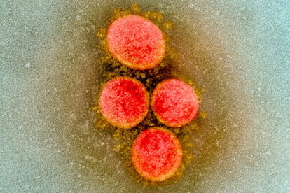 新型コロナウイルス・COVID-19