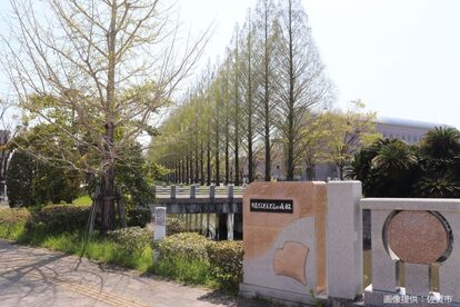 どんどんどんの森