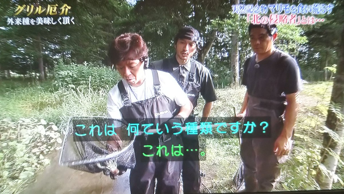 芸能野次馬ヤロウ