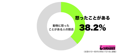 動物に怒ったことがあるグラフ