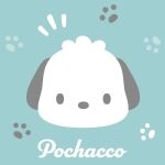 pochi