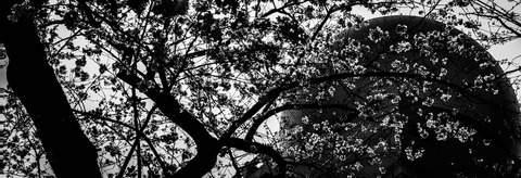 IMG_5618-Edit