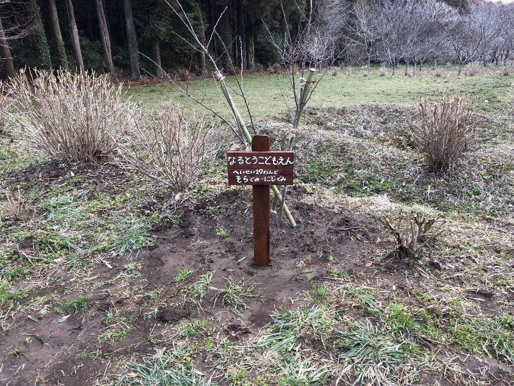 看板立てと散歩がてらにちょっと Hayafunesatoyamaのblog 看板立てと散歩がてらにちょっと Hayafunesatoyamaのblog