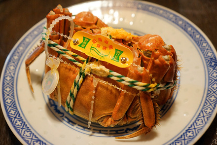 chinese-mitten-crab03