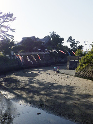 RIMG3343-02