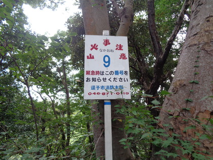 DSC01174