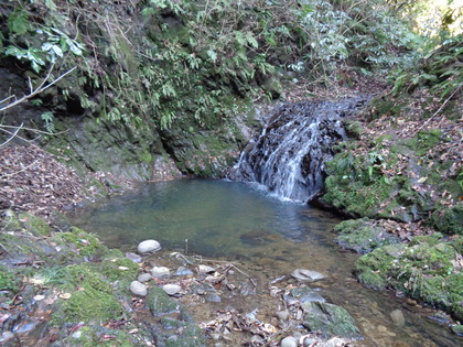 DSC02207