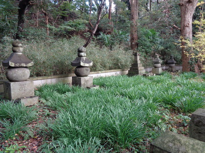 DSC01800