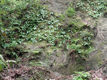 DSC03385