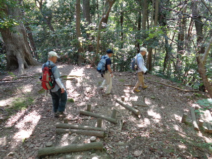 2019-10-05山楽会10月定例会(阿部倉山、二子山)7