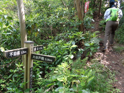 DSC02859