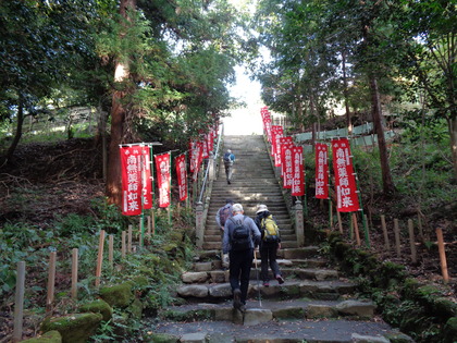 2019-11-02山楽会11月定例会(日向薬師、日向山ほか)10