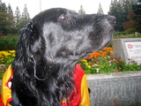 081124_Andy