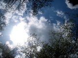 15a75330.jpg