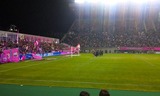 101120_cerezo