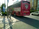 100630_fagiano