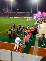 111203_cerezo