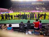 101204_cerezo