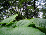 cf1f02db.jpg