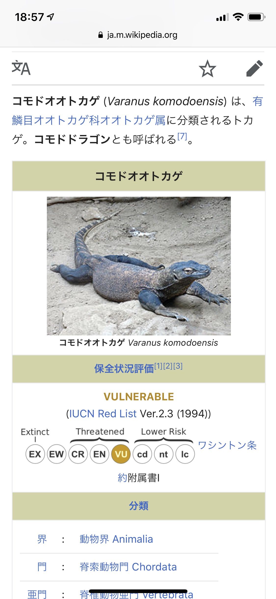 動物 虫 はやまと 動物 虫 はやまと