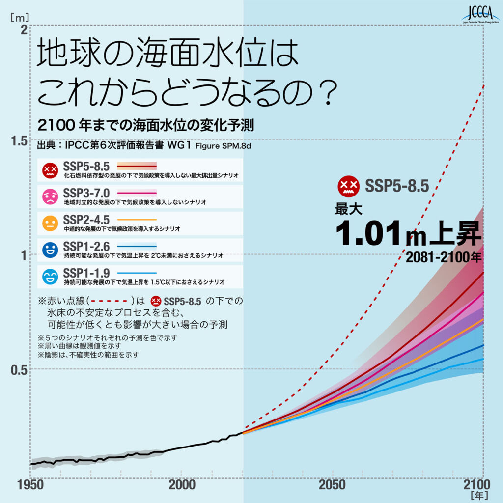 漁業に与える影響も大きい！東京湾の海水温急上昇に注意