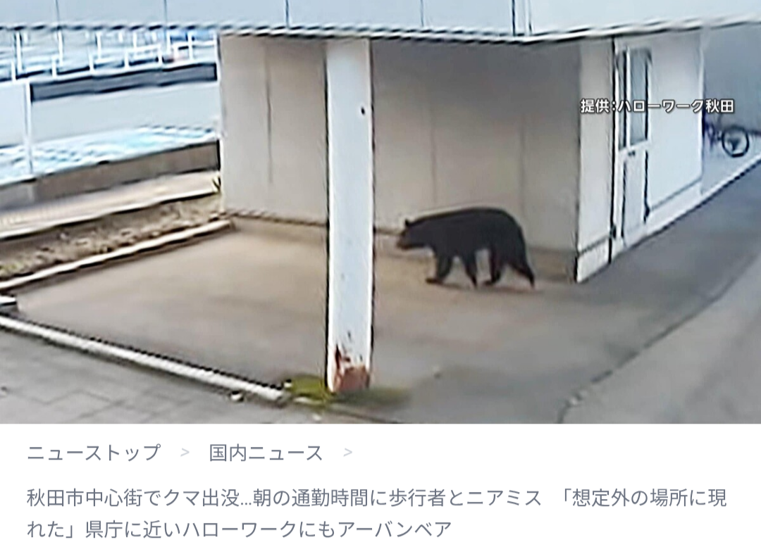 【悲報】秋田市のハローワークに熊さん出没ってマジ！？