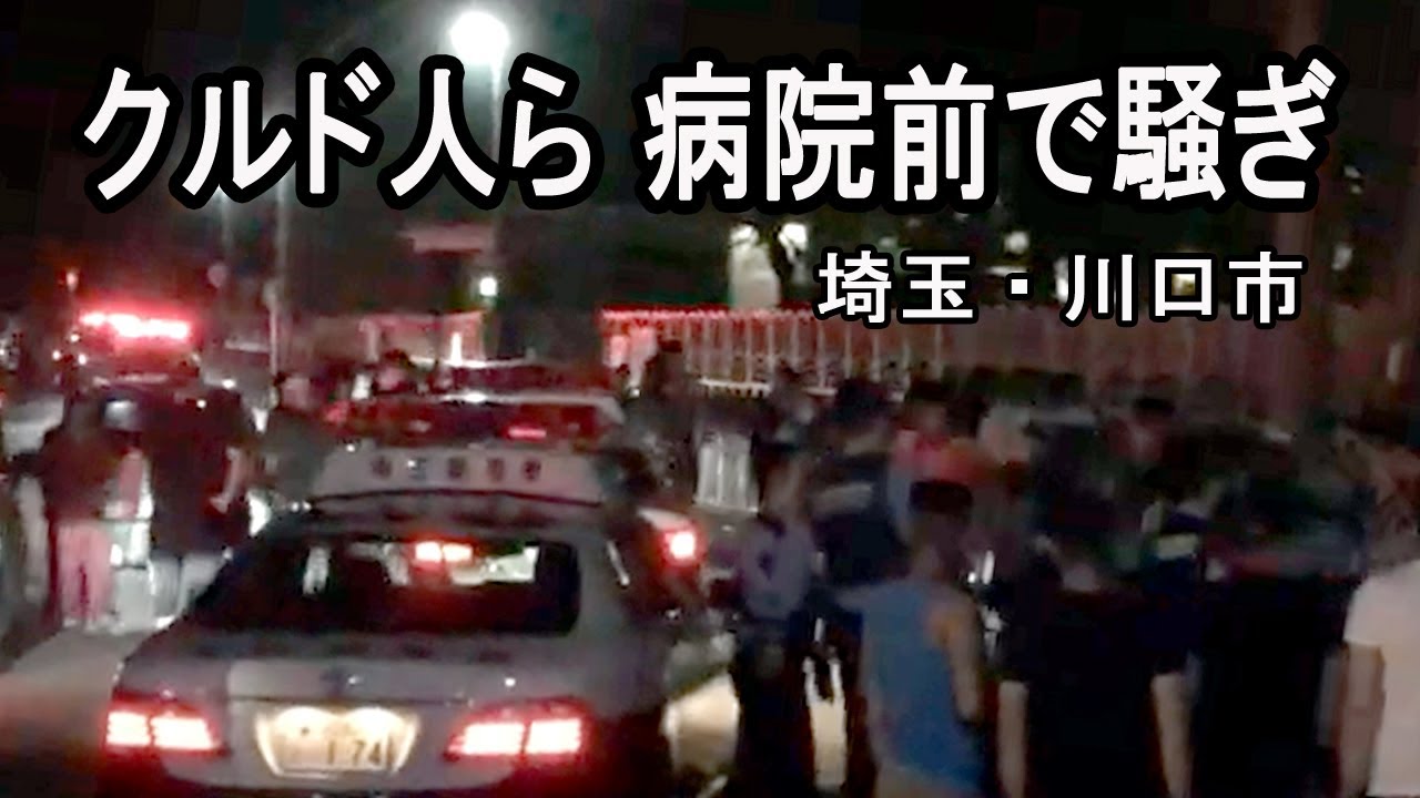 「川口クルド１００人超、資材置き場で大音量騒ぎ警察出動」事件の詳細