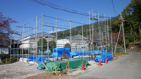 IMGP3922
