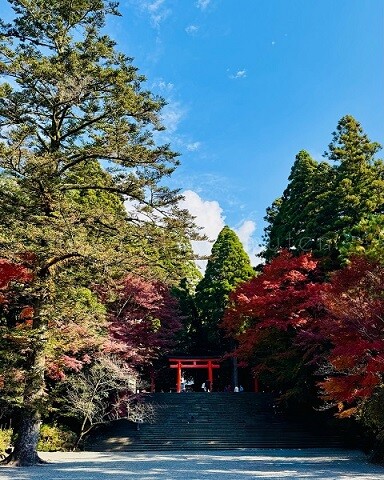 251201_2霧島市TDホーム霧島林工務店