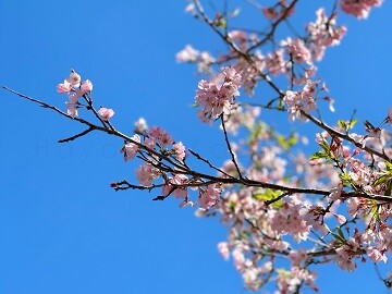 240401_2霧島市TDホーム霧島林工務店