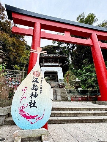 251027_1霧島市TDホーム霧島林工務店