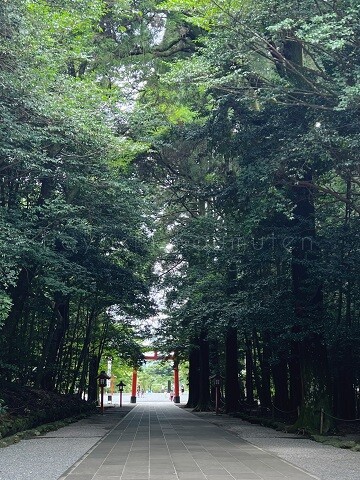 220801_2霧島市林工務店